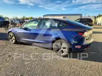 2023 Tesla Model 3 photo