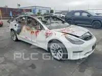 2023 Tesla Model 3 фото