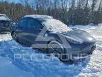 2023 Tesla Model 3 photo