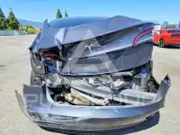 2023 Tesla Model 3 photo