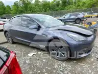 2023 Tesla Model 3 photo