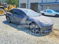 2023 Tesla Model 3 photo