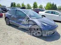 2023 Tesla Model 3 photo