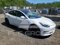 2023 Tesla Model 3 photo