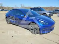 2023 Tesla Model 3 photo