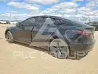 2023 Tesla Model 3 photo