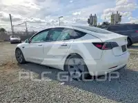 2023 Tesla Model 3 photo