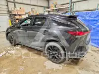 2023 Lexus RX фото
