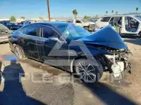 2023 Lexus ES300 photo