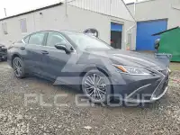 2023 Lexus ES300 photo
