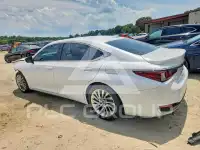 2023 Lexus ES300 photo