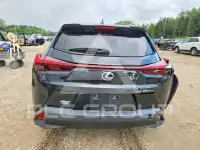 2023 Lexus Other photo