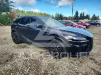 2023 Lexus RX450 photo
