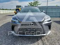 2023 Lexus RX300 фото