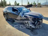 2023 Lexus RX photo