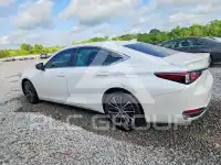 2023 Lexus ES250 фото