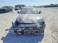2023 Lexus ES350 фото