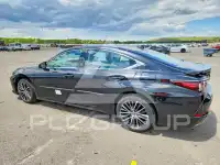 2023 Lexus ES350 фото