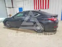 2023 Lexus ES350 photo