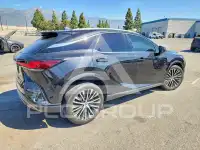 2023 Lexus RX фото