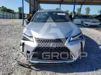 2023 Lexus  фото