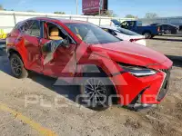 2023 Lexus NX250 фото