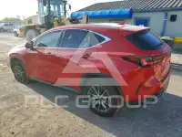 2023 Lexus NX250 фото