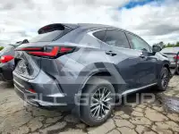 2023 Lexus NX photo