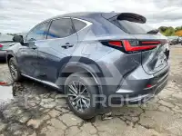 2023 Lexus NX photo