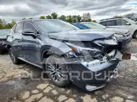 2023 Lexus NX photo