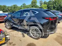2023 Lexus NX photo