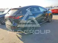 2023 Lexus NX photo