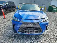 2023 Lexus NX фото