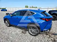 2023 Lexus NX фото