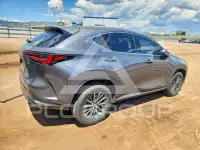 2023 Lexus NX фото
