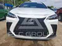 2023 Lexus NX photo