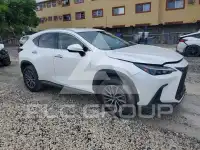 2023 Lexus NX фото