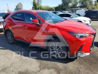 2023 Lexus NX photo
