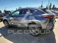 2023 Lexus NX photo