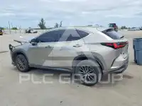 2023 Lexus NX фото