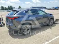 2023 Lexus NX фото