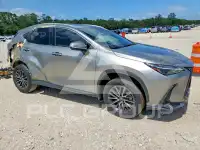 2023 Lexus NX фото