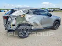 2023 Lexus NX фото