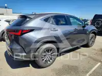 2023 Lexus NX photo