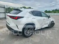 2023 Lexus NX фото