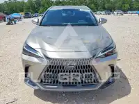 2023 Lexus NX фото