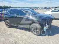 2023 Lexus NX фото