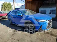 2023 Lexus NX фото