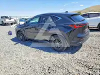 2023 Lexus NX фото