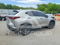 2023 Lexus NX фото